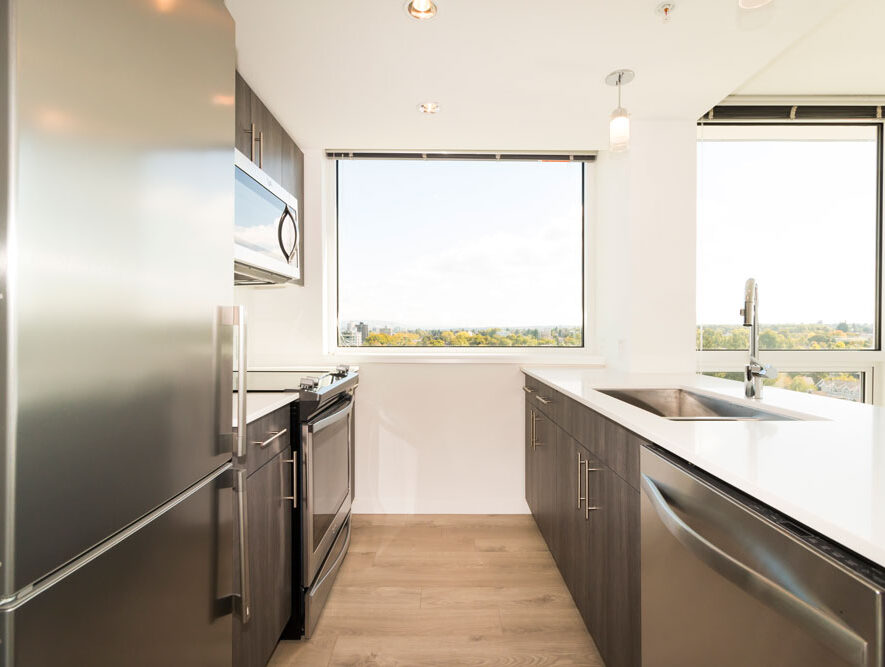 SF - 1102 Kitchen 2